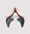Queue en carbone Conception spéciale - Ducati Panigale V2 - V4 et Streetfighter V2 - V4