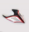 Codino in carbonio Special Design - Ducati Panigale V2 - V4 e Streetfighter V2 - V4