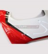 Cupolino Carbonio Versione Strada - Ducati Panigale V4 / V4S / V2