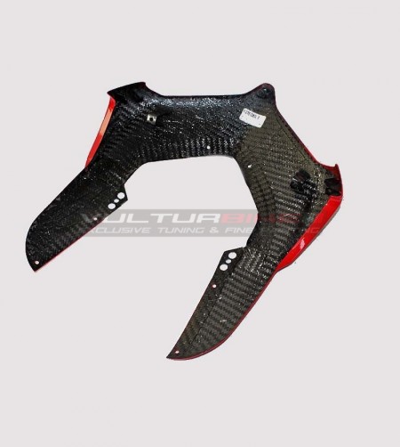 Carbon Windschutzscheibe Rennradversion - Ducati Panigale V4 / V4S / V2