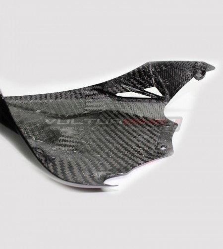 Spezial Carbon Heckfender - Ducati Panigale 1199/1299 / V2 2020