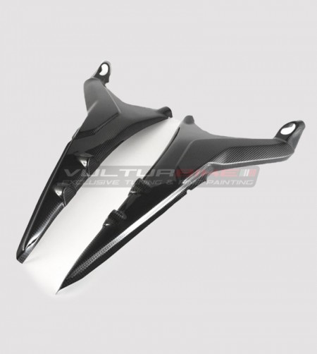 Carbon Sattelrahmenprotektoren - Ducati Panigale V4 / V4S / V4R
