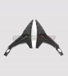 Carbon Sattelrahmenprotektoren - Ducati Panigale V4 / V4S / V4R
