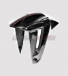 Carbon front fender - Ducati X Diavel