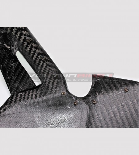 Carbon Kotflügel vorne - Ducati XDiavel