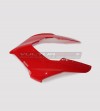 Rote Kuppel - Ducati Panigale V4 / V2 2020