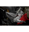 Carbon-Paratakechi - Ducati Panigale V4 / V4S / V4R / Streetfighter V4 
