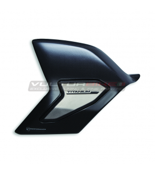 Cubierta de basculante de carbono y titanio - Ducati Panigale V4 