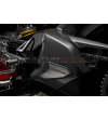 Carbon- und Titan-Schwinge-Abdeckung - Ducati Panigale V4 