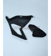 Carbon- und Titan-Schwinge-Abdeckung - Ducati Panigale V4 