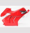 Upper fairings kit Ducati Panigale V4R New V4 2020 - Restyling Panigale V4 - V4S (2018/19) 