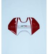 Kit adesivi design Tricolore - Ducati Panigale V4 / V2 2020 