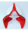 Custom Heck - Ducati Panigale V2 V4 - Streetfighter V2 V4 