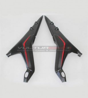 Custom Carbon Sattelrahmenprotektoren - Ducati Panigale V4 / V4S / V4R