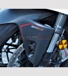 Guardabarros delantero de carbono personalizado - Ducati Panigale V4 / V4S / V4R / V2 2020 / Streetfighter V4 / V2