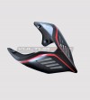 Dunkles Carbon-Heck - Ducati Panigale V2 2020 / Streetfighter V4 / V2