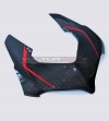 Kompletter Carbon Verkleidungssatz Sonderanfertigung - Ducati Panigale V4 / V4R / V4 2020