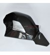 Custom Carbon Schwingenabdeckung mit Schieber - Ducati Panigale V4 / V4S / V4R