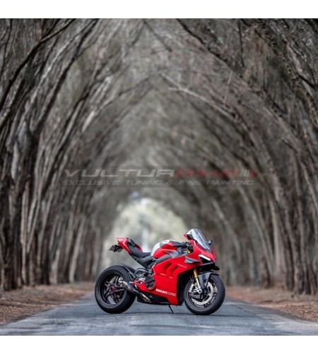 Complete carbon fairings' kit with custom design - Ducati Panigale V4 / V4R / V4 2020