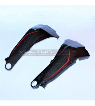 Custom-Design-Carbon-Rahmenabdeckung - Ducati Panigale V4R / V4 2018 - 2022