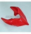 Original tail - Ducati Panigale V4 / V4S 2020 