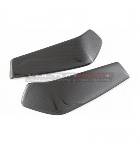 Carbon Kühlerabdeckung - Ducati Monster 1200 / 1200S / 1200R 2014-2019
