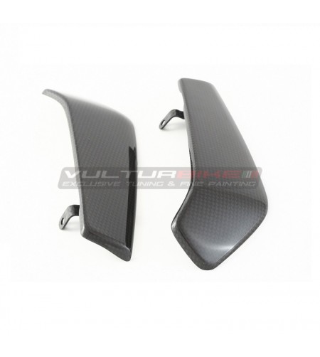 Cubierta del radiador de carbono - Ducati Monster 1200 / 1200S / 1200R 2014-2019