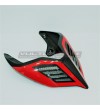 Especial Cola de carbono oscuro - Ducati Panigale V4 / V4S / V4R / V2 / Streetfighter V4 / V2