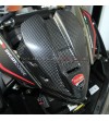 Cubierta de instrumento de carbono con escudo original - Ducati Panigale V4 / V4S 