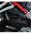 Swingarm stickers exclusive finish - Ducati Multistrada V4 / V4S / Rally